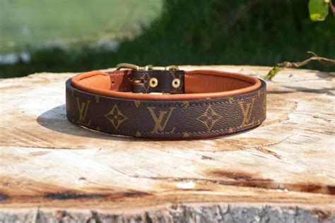 lv clothes for dogs|louis vuitton dog collar price.